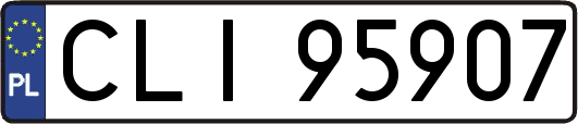 CLI95907
