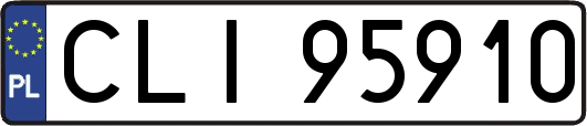 CLI95910