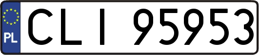 CLI95953