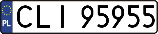 CLI95955