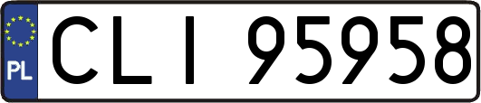 CLI95958
