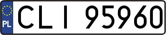 CLI95960