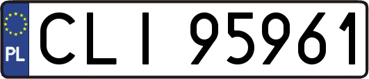 CLI95961