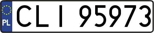 CLI95973