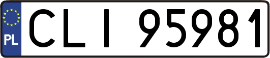 CLI95981
