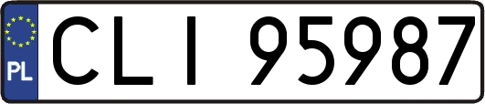 CLI95987