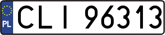 CLI96313