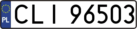 CLI96503