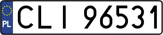 CLI96531