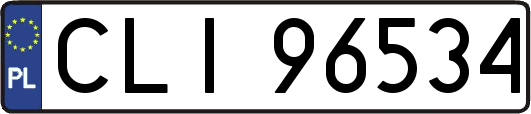 CLI96534
