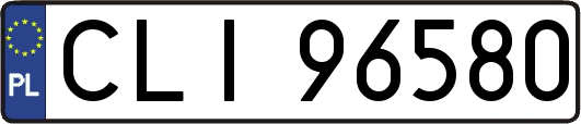 CLI96580