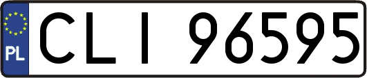 CLI96595