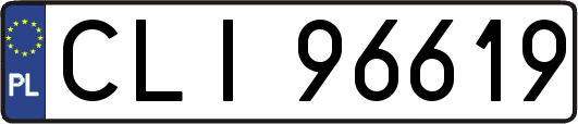 CLI96619