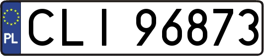 CLI96873