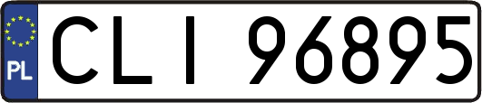 CLI96895