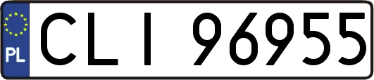 CLI96955