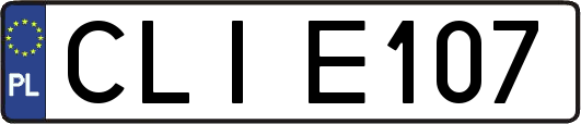 CLIE107