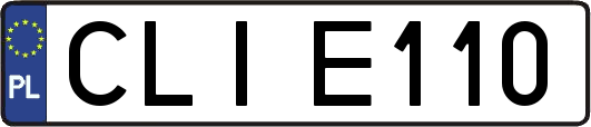 CLIE110