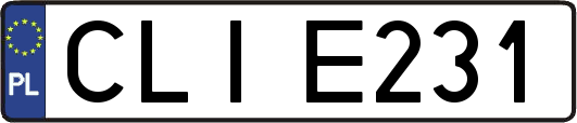 CLIE231