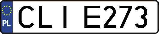 CLIE273