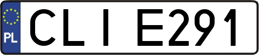 CLIE291