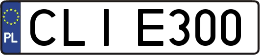 CLIE300