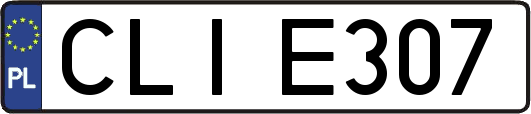 CLIE307