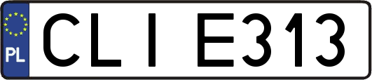 CLIE313