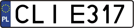 CLIE317