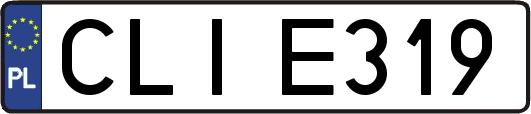 CLIE319