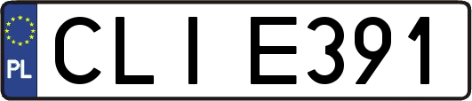 CLIE391