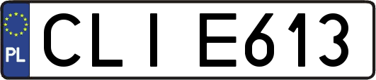 CLIE613