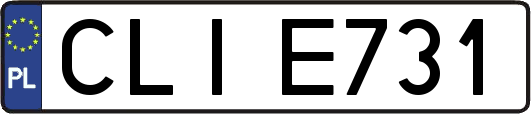 CLIE731