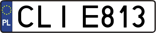 CLIE813
