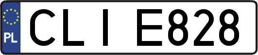 CLIE828