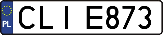 CLIE873