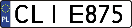CLIE875