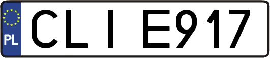 CLIE917
