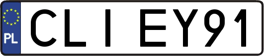 CLIEY91