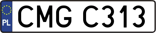 CMGC313