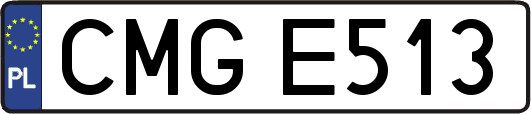CMGE513
