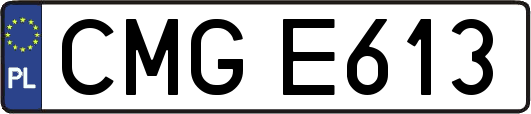 CMGE613