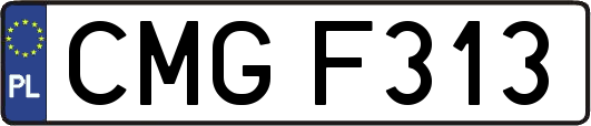 CMGF313