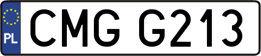 CMGG213