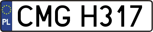 CMGH317