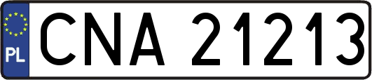 CNA21213