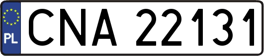 CNA22131