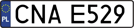 CNAE529