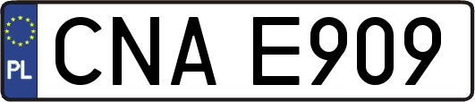 CNAE909