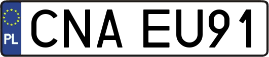 CNAEU91